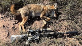 1761867889400.png 1761867889400.png