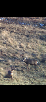 1000004709.png 1000004709.png