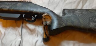 Tikka 2.jpg Tikka 2.jpg