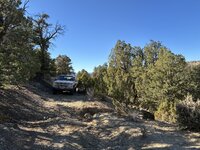 IMG_8234.jpeg IMG_8234.jpeg