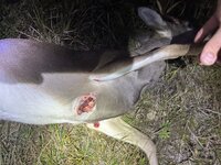 IMG_5616.jpeg IMG_5616.jpeg