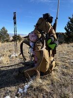 IMG_6386.jpeg IMG_6386.jpeg