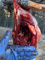 IMG_6380.jpeg IMG_6380.jpeg