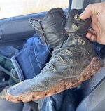 IMG_1460.jpeg IMG_1460.jpeg