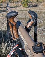 PXL_20251018_215900034.MP.jpg PXL_20251018_215900034.MP.jpg