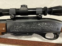 IMG_3523.JPEG IMG_3523.JPEG