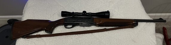 IMG_3518.JPEG IMG_3518.JPEG