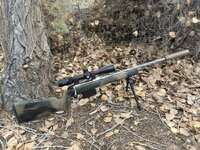 IMG_8508.jpg IMG_8508.jpg