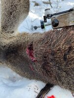 IMG_1861.jpeg IMG_1861.jpeg