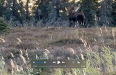 Screenshot 2025-09-24 at 8.46.20 PM.jpeg