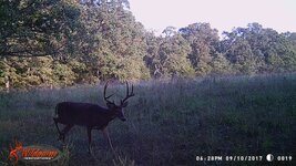 _storage_emulated_0_DCIM_2017 Deer_WGI_0019.jpeg