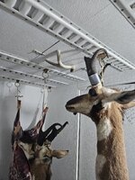 20250818_215556.jpg 20250818_215556.jpg