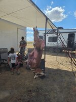 20250817_145125.jpg 20250817_145125.jpg