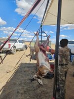 20250817_145133.jpg 20250817_145133.jpg