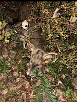 IMG_1630.jpeg IMG_1630.jpeg