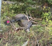 IMG_1629.jpeg IMG_1629.jpeg