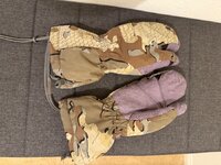 IMG_2929.jpeg IMG_2929.jpeg