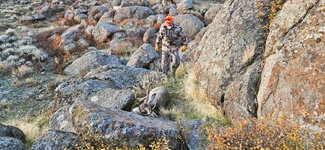 20251028_073704copy4 copy.jpg