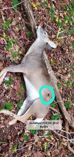 20251102_074107.jpg 20251102_074107.jpg