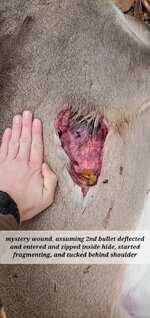 20251102_080401.jpg 20251102_080401.jpg