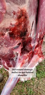 20251102_105232.jpg 20251102_105232.jpg