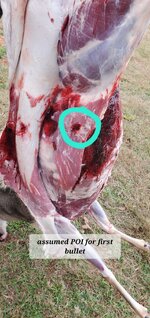 20251102_105554.jpg 20251102_105554.jpg