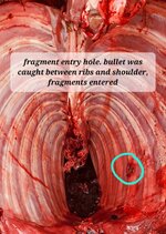 20251102_120515.jpg 20251102_120515.jpg