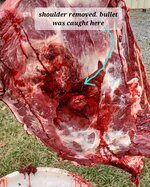 20251102_120519.jpg 20251102_120519.jpg