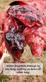 20251102_120535.jpg 20251102_120535.jpg