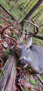 20251102_074119.jpg 20251102_074119.jpg