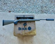 IMG_4155.jpeg IMG_4155.jpeg