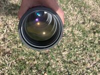 IMG_6297.jpeg IMG_6297.jpeg