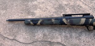 IMG_2944.jpeg IMG_2944.jpeg