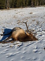 IMG_0363.jpeg IMG_0363.jpeg