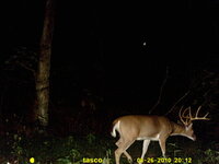 1000096357.jpg 1000096357.jpg