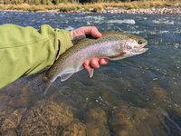 PXL_20251007_185749163.jpg PXL_20251007_185749163.jpg