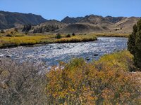 PXL_20251007_200632558.jpg PXL_20251007_200632558.jpg