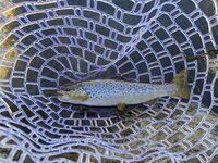 PXL_20251007_194407421.jpg PXL_20251007_194407421.jpg