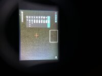 IMG_0448.jpeg IMG_0448.jpeg