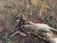 IMG_3133 2.jpeg IMG_3133 2.jpeg