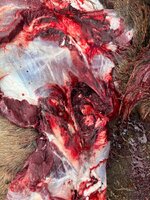 IMG_3141 2.jpeg IMG_3141 2.jpeg