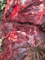 IMG_3143 2.jpeg IMG_3143 2.jpeg