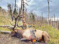 IMG_0270.jpeg IMG_0270.jpeg