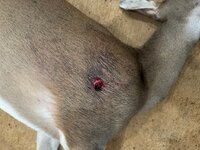 20231124_231628293_iOS (2).jpg