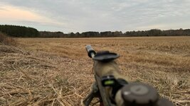 20231124_231628293_iOS (6).jpg