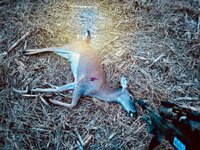 20231124_231628293_iOS (8).jpg