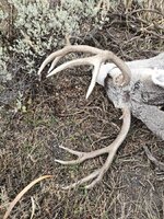 1000000161.jpg 1000000161.jpg