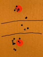 Load dev zero and sight in_11052025.jpeg