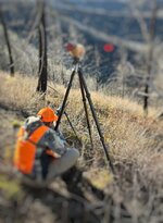 IMG_3933_SnapseedCopy.jpeg IMG_3933_SnapseedCopy.jpeg