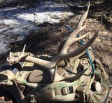 IMG_8656.jpeg IMG_8656.jpeg